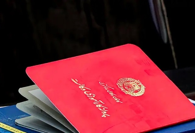 کارآموزان وکالت