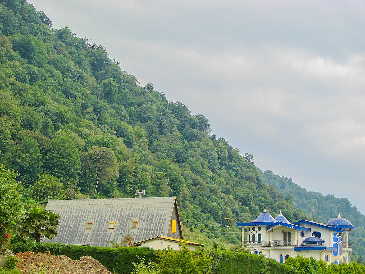 جنگل&zwnj;خوارای