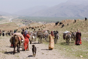 بیمه عشایر